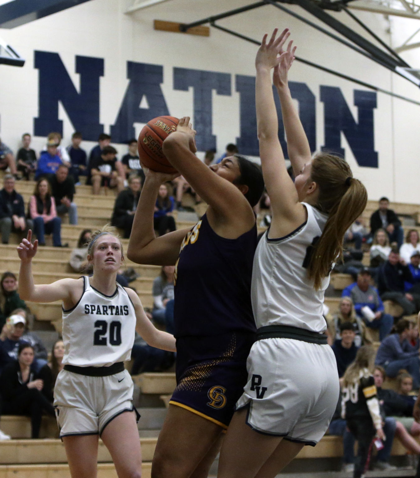 120321-qc-spt-dewitt-pv gbkb013.JPG